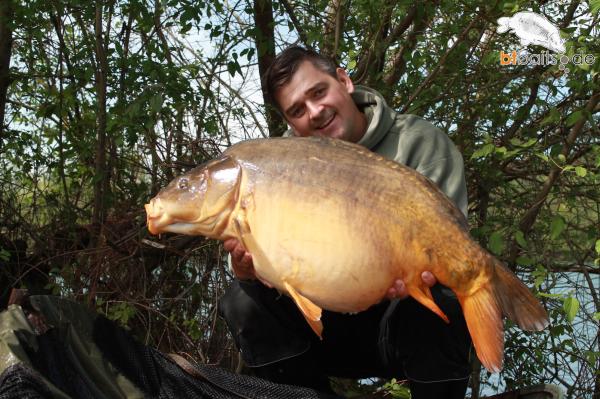 Banane-Fischpellets Boilies 10 kg (6,90 Euro Grundpreis).